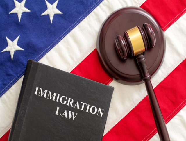Immigration <br/>Law